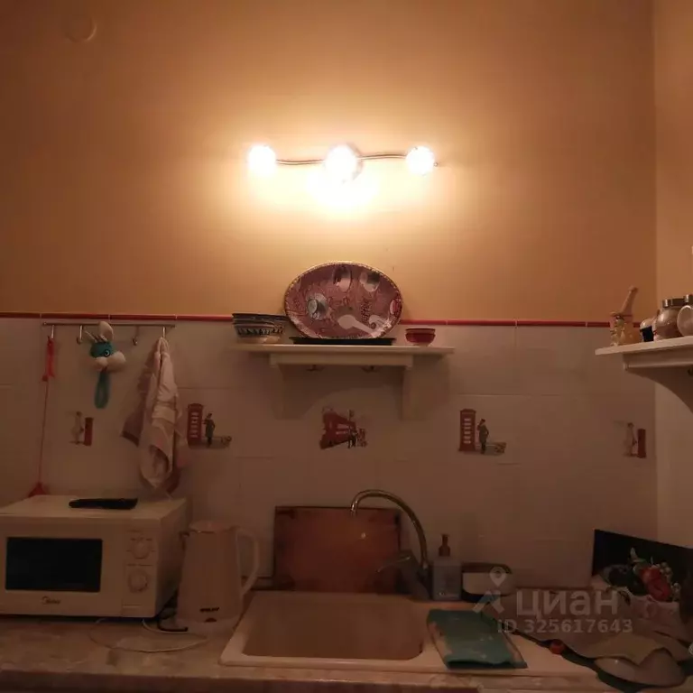 1-к кв. Московская область, Дмитровский муниципальный округ, д. ... - Фото 2