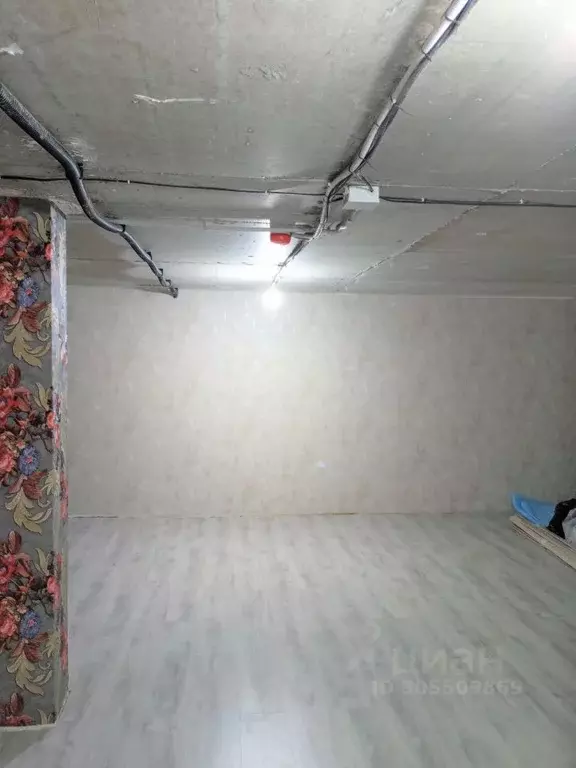 Помещение свободного назначения в Краснодарский край, Анапа Парковая ... - Фото 1