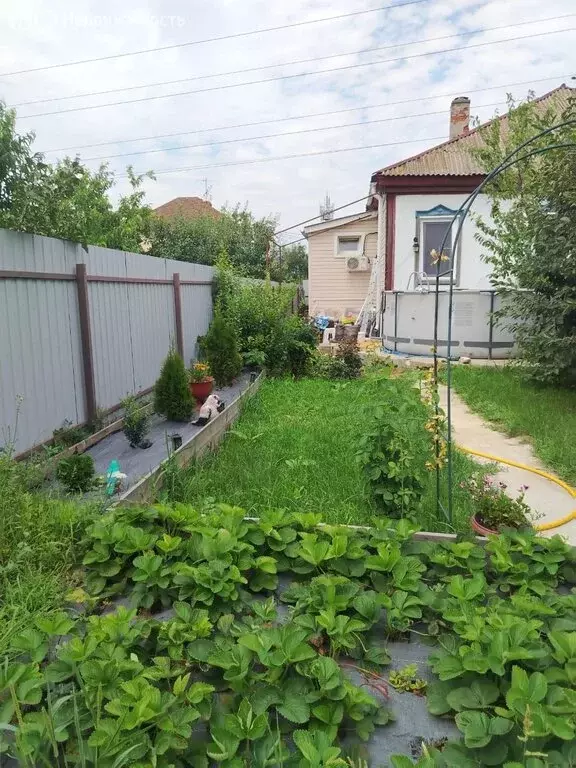 Дом в Волгоград, Суздальская улица (43.4 м) - Фото 1