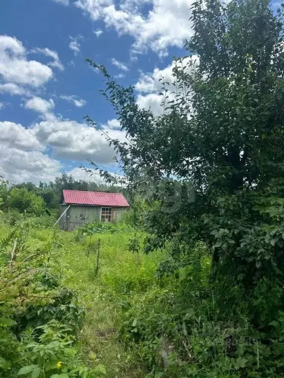 Дом в Хабаровский край, Хабаровск Строитель СНТ,  (50 м) - Фото 2