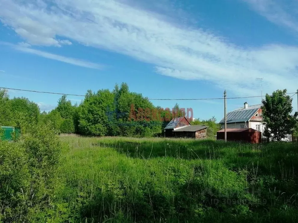 Участок в Ленинградская область, Гатчинский район, д. Ракитино  (15.0 ... - Фото 1