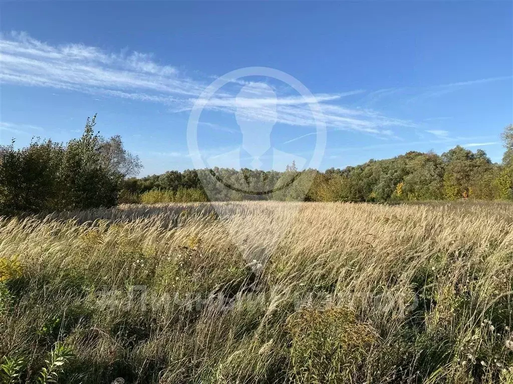 Участок в Рязанская область, Михайловский муниципальный округ, д. ... - Фото 1