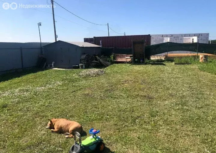 Участок в Свердловская область, Белоярский муниципальный округ (8 м) - Фото 1