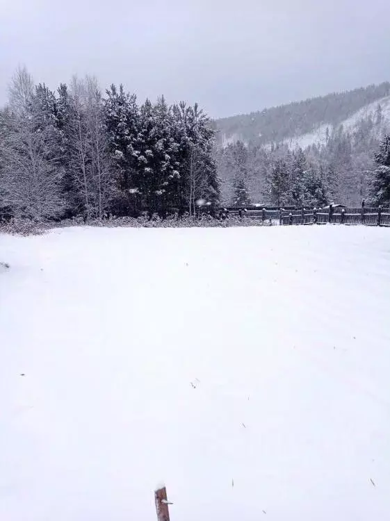 Участок в Иркутская область, Шелеховский район, пос. Большой Луг ул. ... - Фото 2