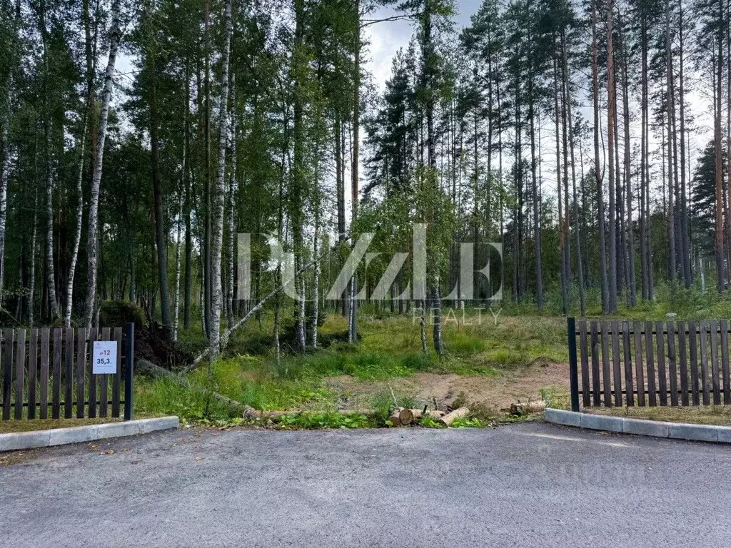 участок в ленинградская область, приозерский район, раздольевское . - Фото 1