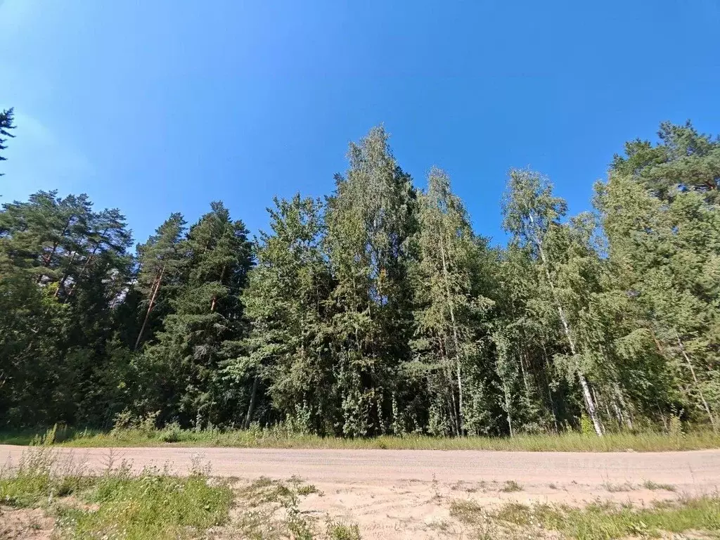 Участок в Ленинградская область, Всеволожское городское поселение, ... - Фото 0