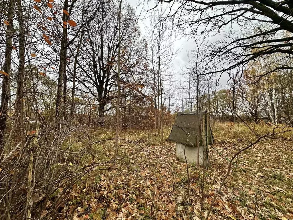 Участок в Москва Брехово хут., 16Б (9.5 сот.) - Фото 1