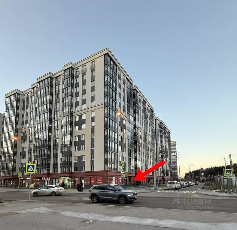 Помещение свободного назначения в Ленинградская область, Мурино ... - Фото 1