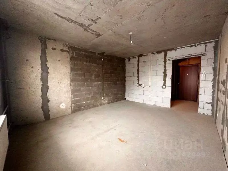 Студия Санкт-Петербург пос. Шушары, просп. Новгородский, 2к1 (25.0 м) - Фото 1