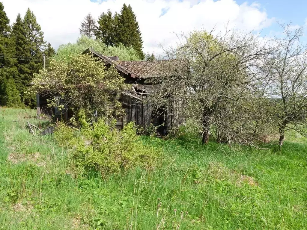 Дом в Карелия, Сортавальский муниципальный округ, Хелюля пгт ул. ... - Фото 2