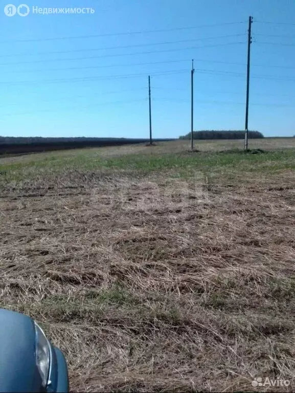 Участок в село Смолинское, улица Коммунаров (1000 м) - Фото 1