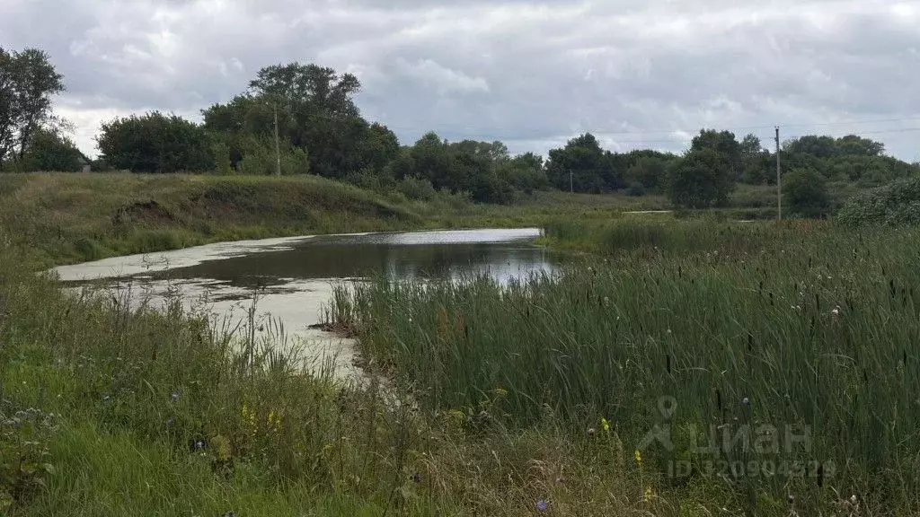 Участок в Башкортостан, Чишминский район, Арслановский сельсовет, д. ... - Фото 0