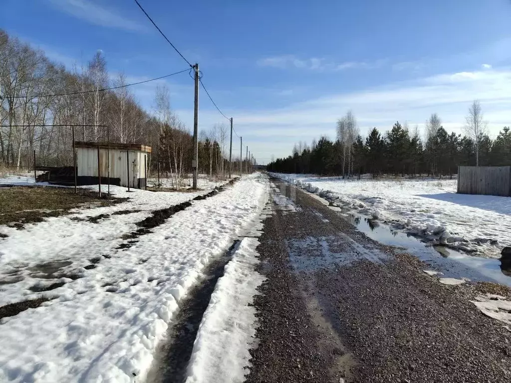Участок в Курганская область, Шадринский муниципальный округ, с. Ключи ... - Фото 1