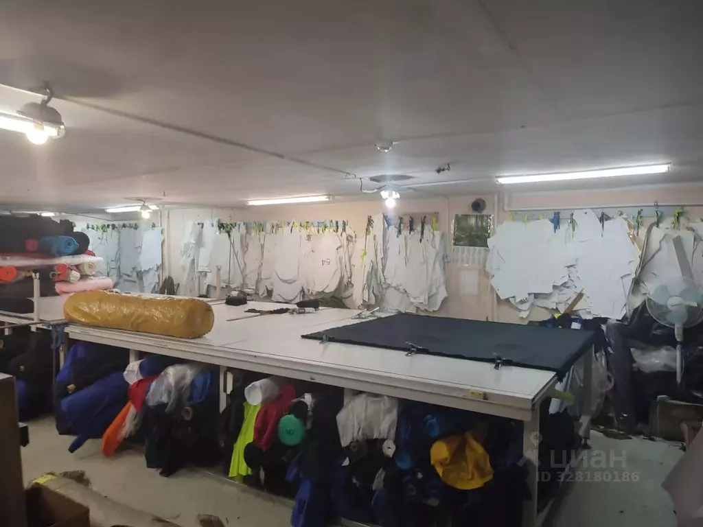 Помещение свободного назначения в Пензенская область, Пенза Окружная ... - Фото 1