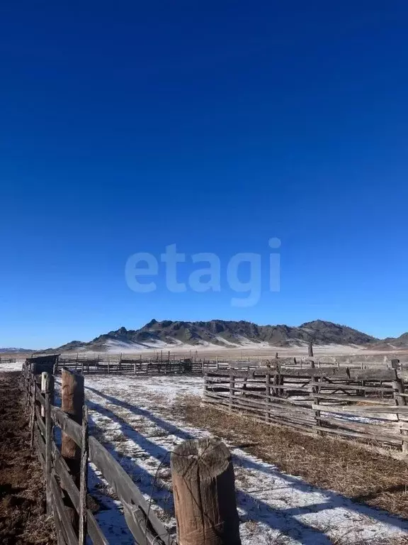 Участок в Алтай, Усть-Канский район, с. Усть-Кан Ленинская ул. (843.13 ... - Фото 1