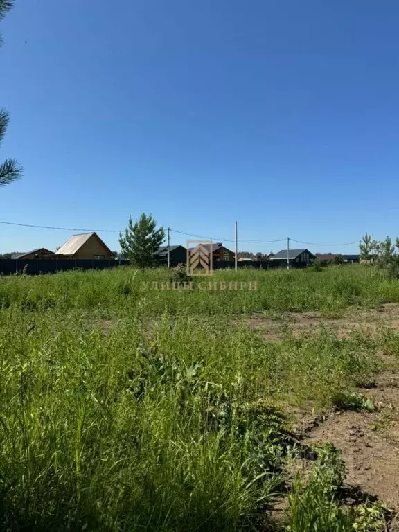 Участок в Новосибирская область, Новосибирский район, Кубовинский ... - Фото 1