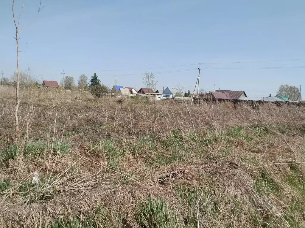 Участок в Новосибирская область, Мошково рп ул. Линейная (12.0 сот.) - Фото 2