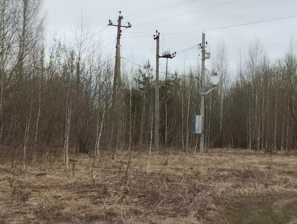 Участок в Нижегородская область, с. Безводное  (8.3 сот.) - Фото 2