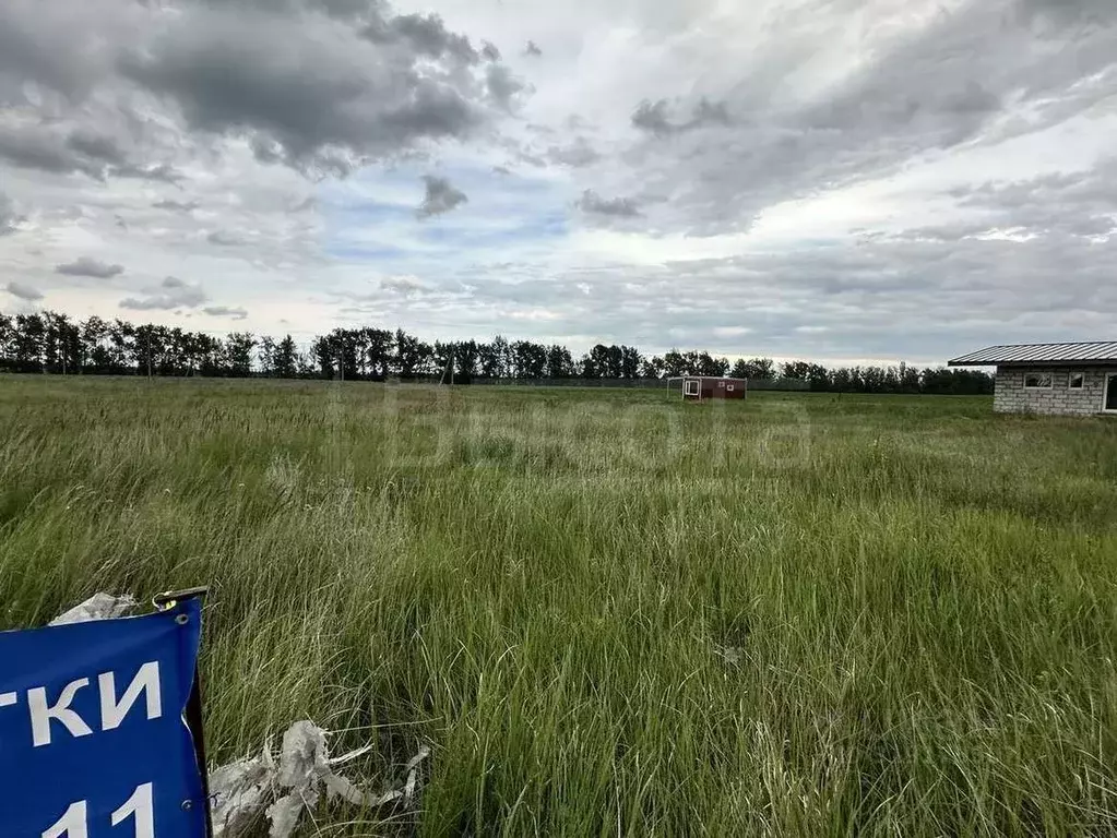 Участок в Воронежская область, с. Новая Усмань ул. Театральная, 103 ... - Фото 0
