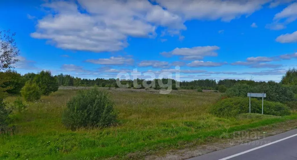 Участок в Ярославская область, Рыбинский муниципальный округ, ... - Фото 1