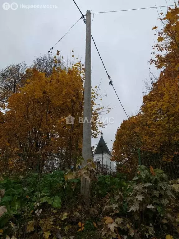 Участок в Московская область, Рузский муниципальный округ, село ... - Фото 2