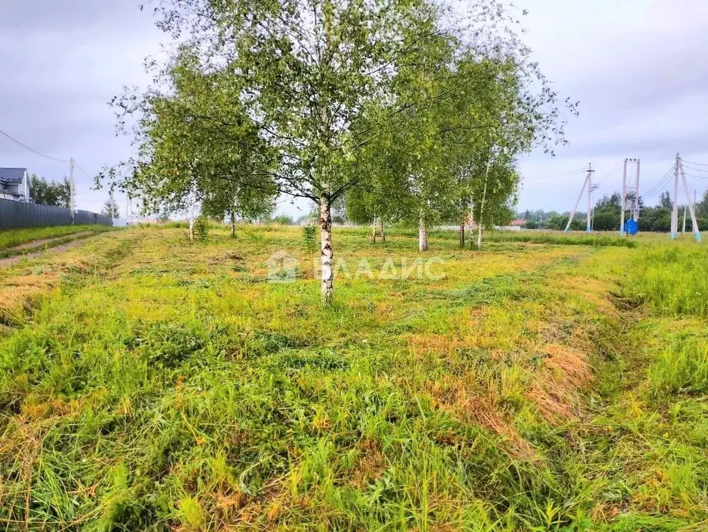 Участок, 8 сот., поселения (ижс) - Фото 1