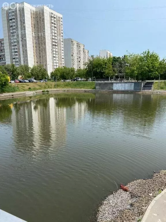 2-комнатная квартира: Москва, Батайский проезд, 43 (50.06 м) - Фото 1