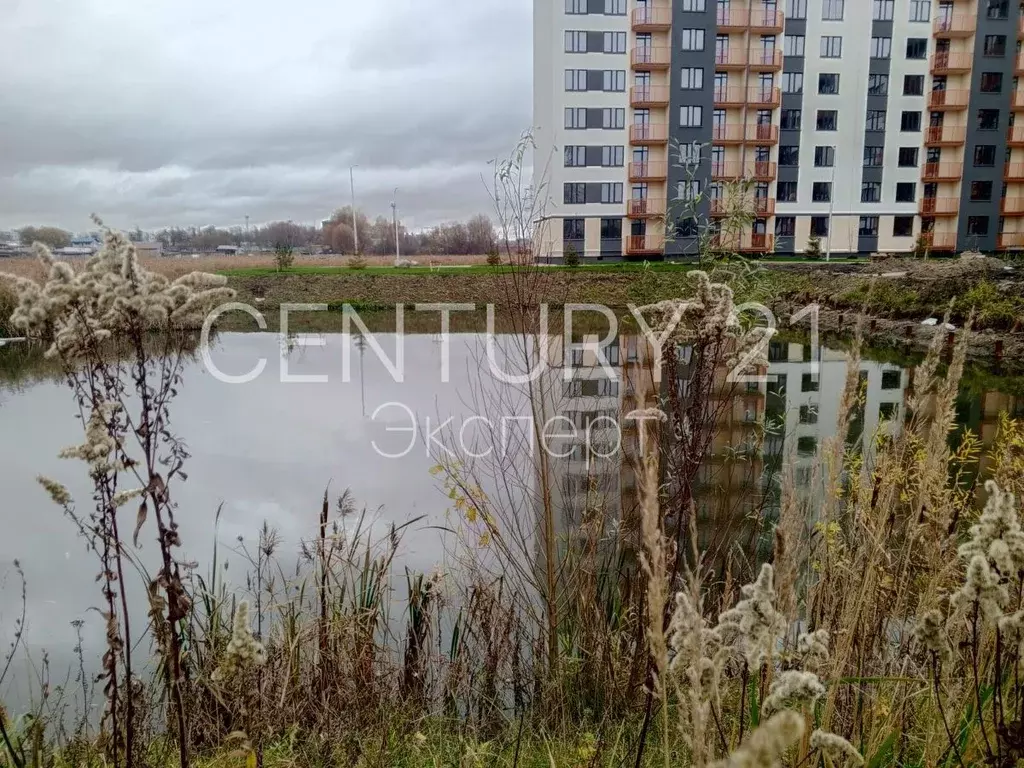 1-к кв. Калининградская область, Калининград Тихорецкий проезд, 5к1 ... - Фото 1