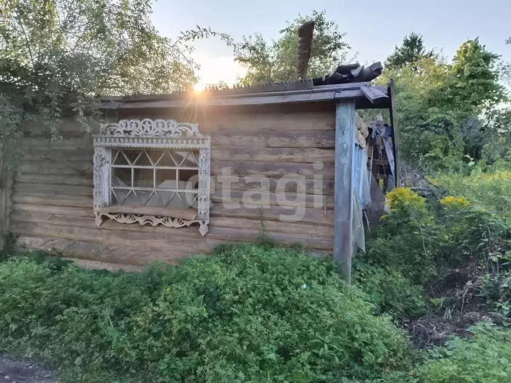 Участок в Брянская область, Брянский район, Супоневское с/пос, Рассвет ... - Фото 1