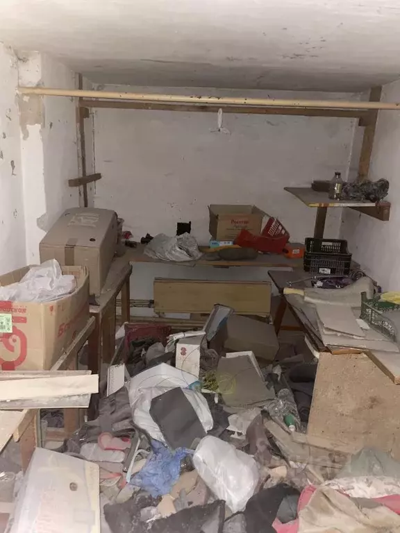 Помещение свободного назначения в Коми, Сыктывкар ул. Ленина, 89 (7 м) - Фото 1