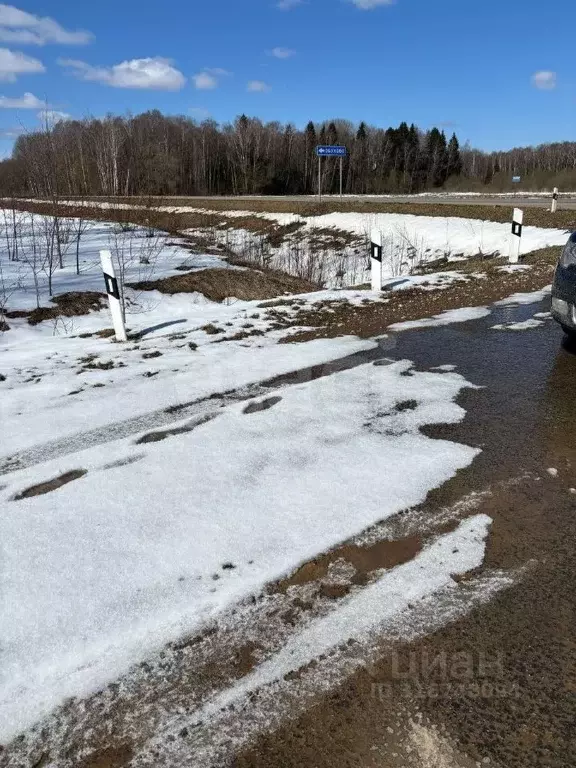 Участок в Калужская область, Медынский район, Романово с/пос, д. ... - Фото 2