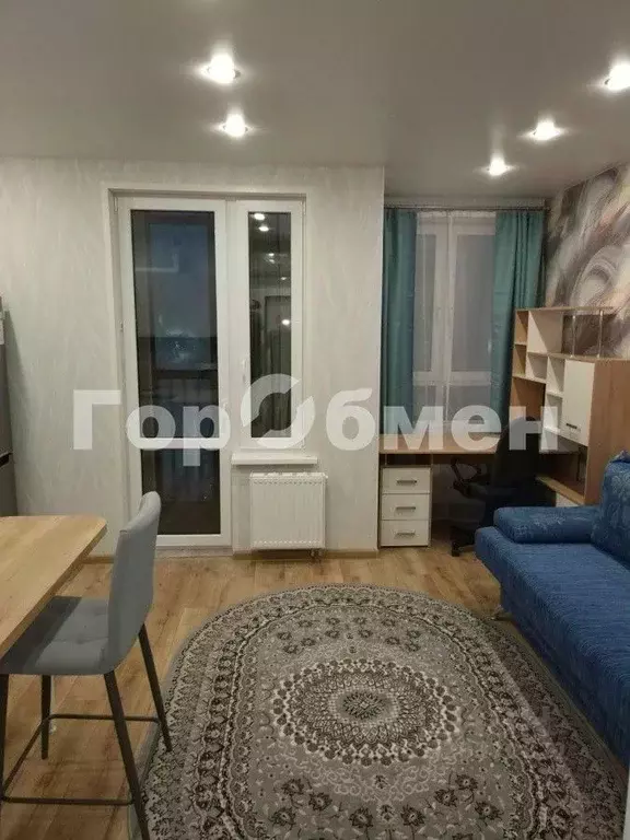 Студия Московская область, Подольск городской округ, д. Борисовка ул. ... - Фото 2