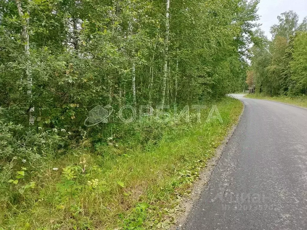 Участок в Тюменская область, Нижнетавдинский район, Сундукульский ... - Фото 1