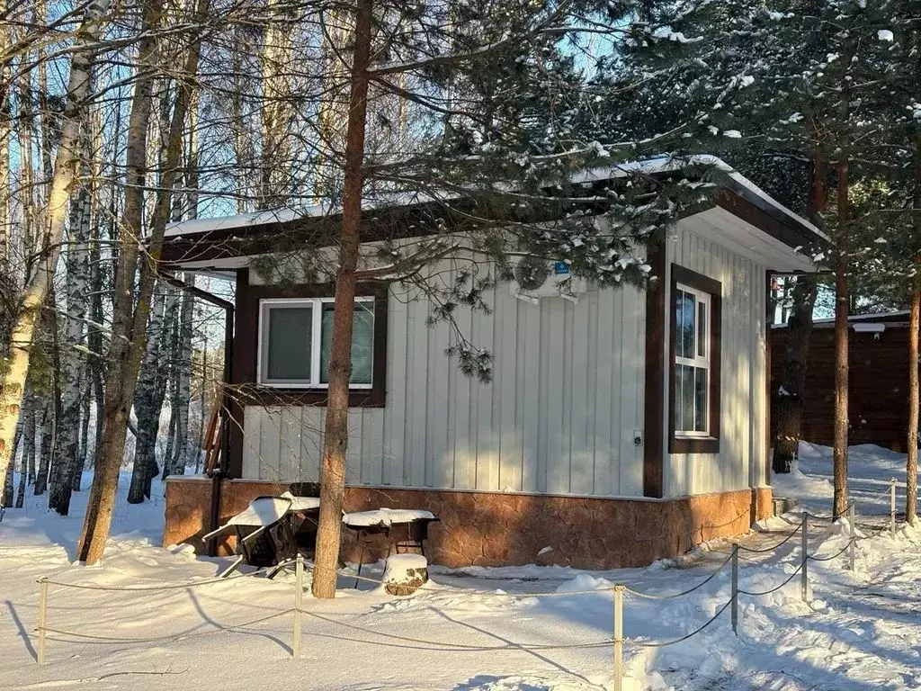 Дом в Псковская область, Островский район, Горайская волость, д. ... - Фото 2