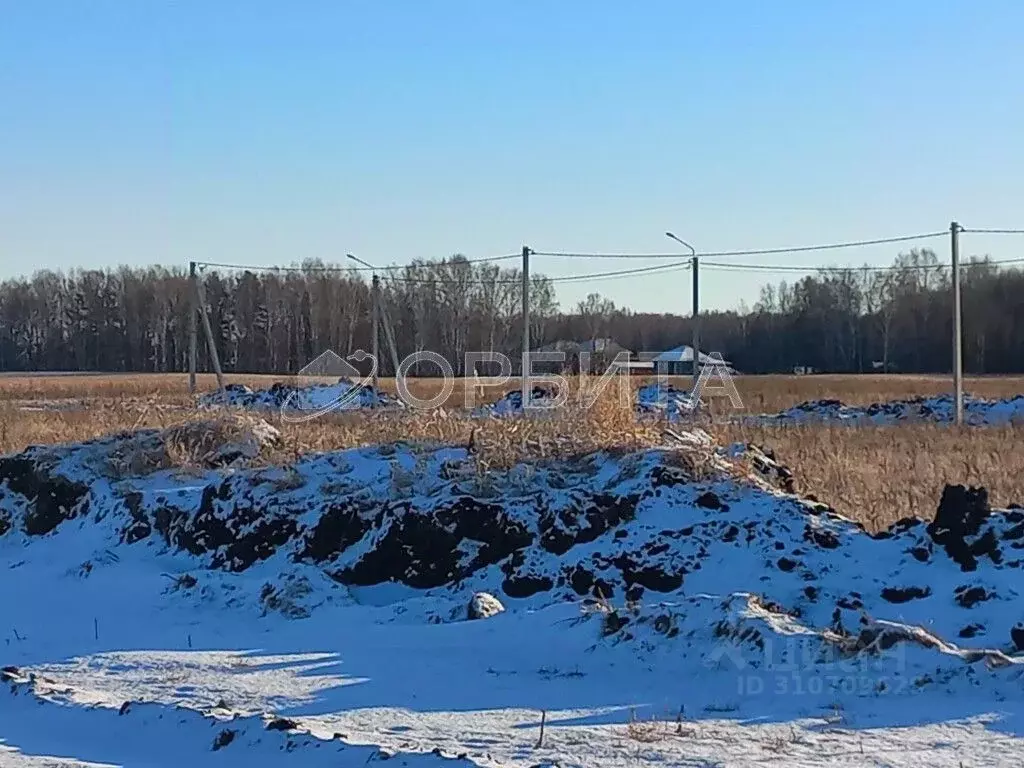 Участок в Тюменская область, Тюменский район, Онегин кп  (8.3 сот.) - Фото 1