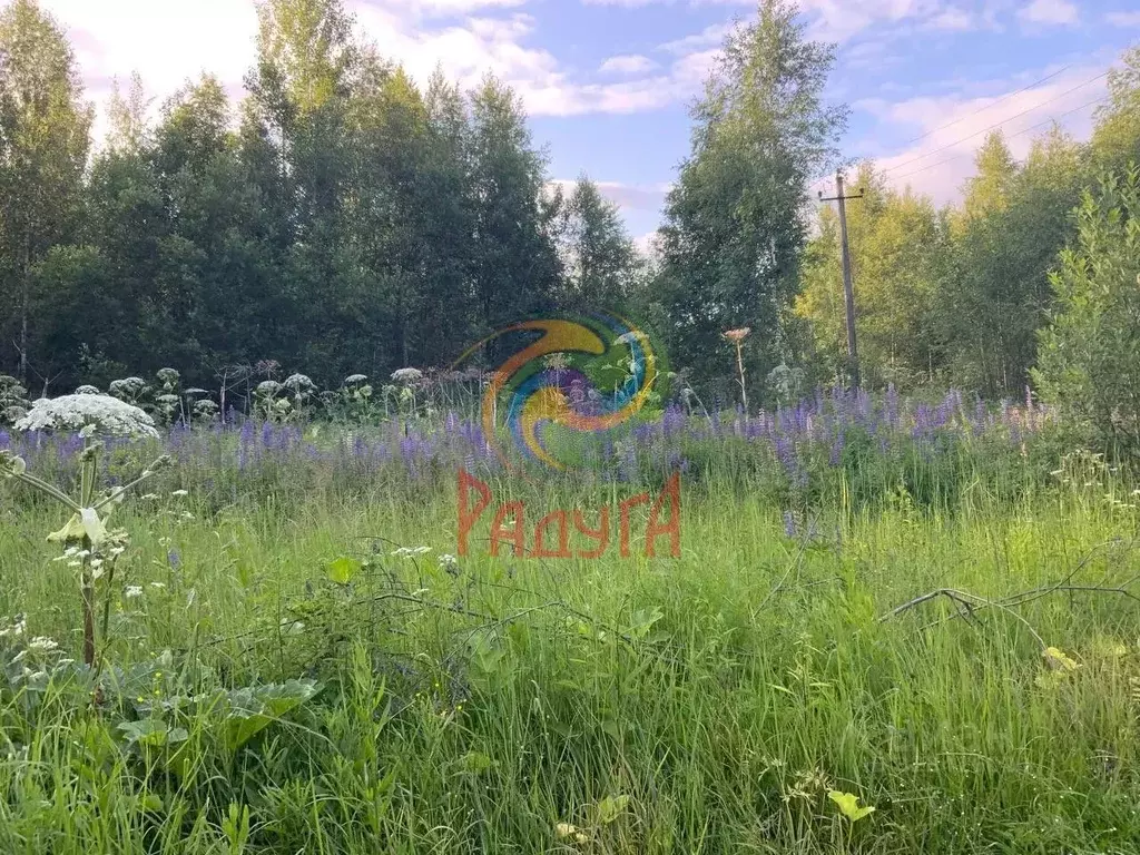 Участок в Ивановская область, Ивановский муниципальный округ, ... - Фото 1