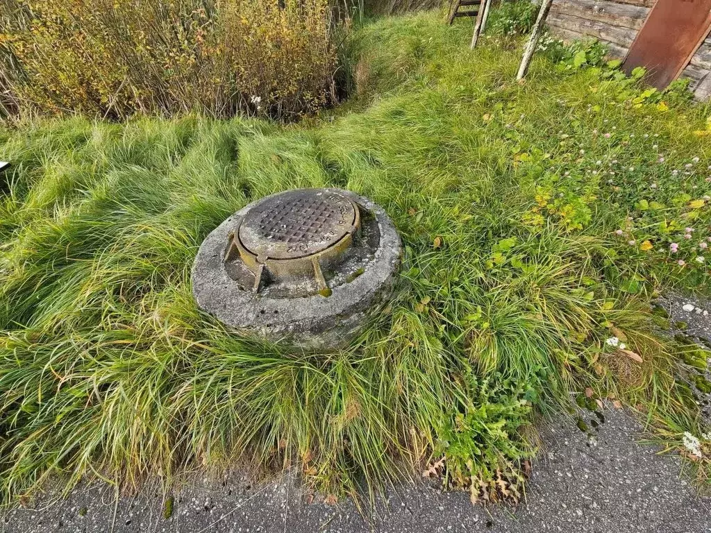 Дом в Псковская область, Пыталово Береговая ул., 38 (200 м) - Фото 1