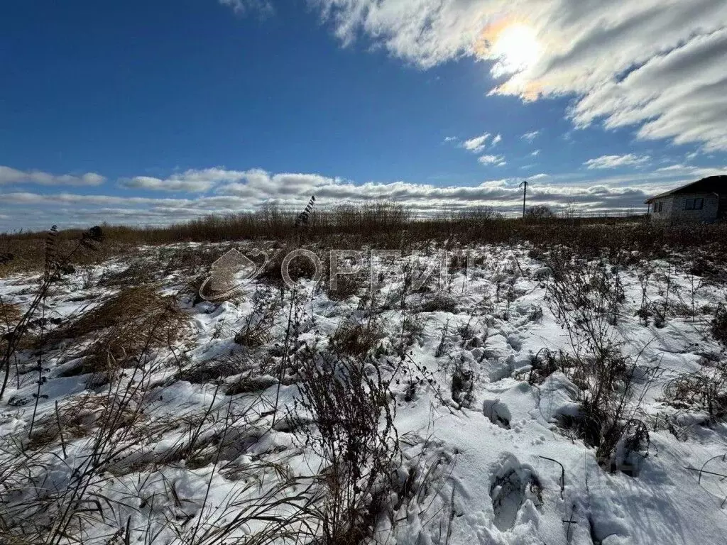Участок в Тюменская область, Тюменский муниципальный округ, д. ... - Фото 2
