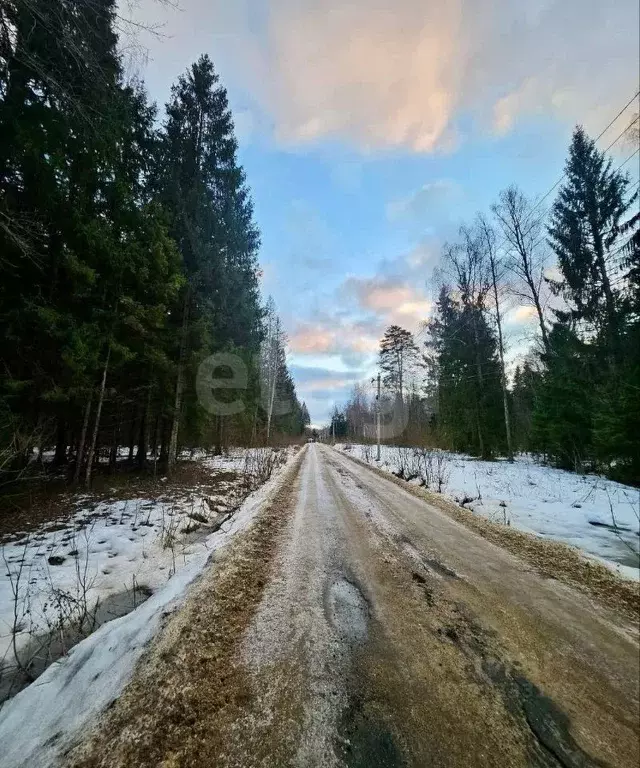 Участок в Московская область, Истра муниципальный округ, д. Горшково  ... - Фото 1