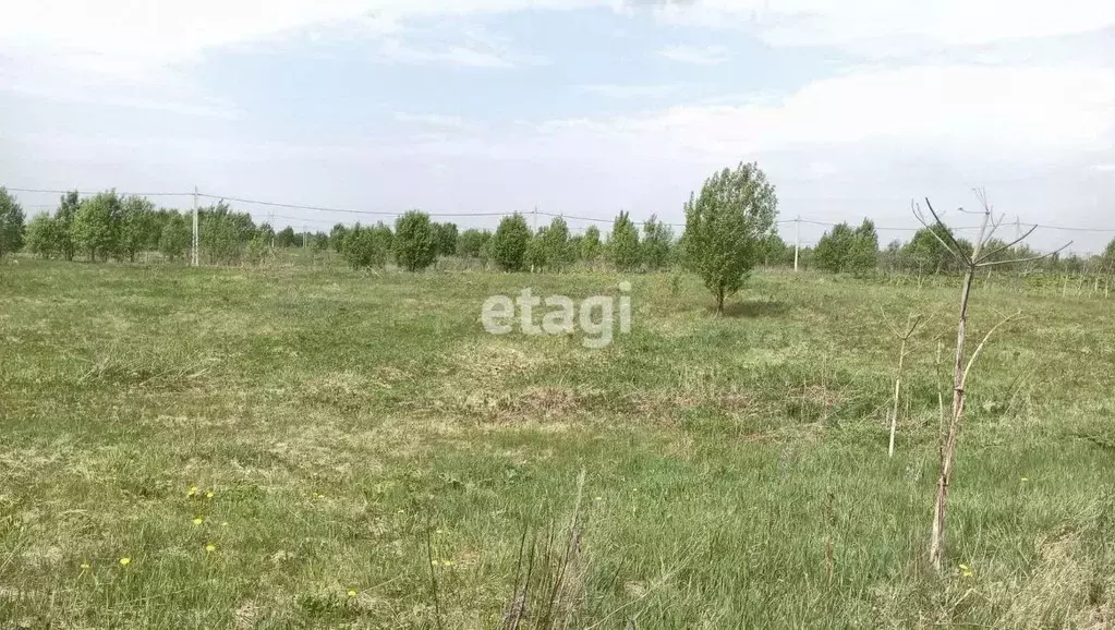 Участок в Ленинградская область, Ломоносовский район, Гостилицкое ... - Фото 0