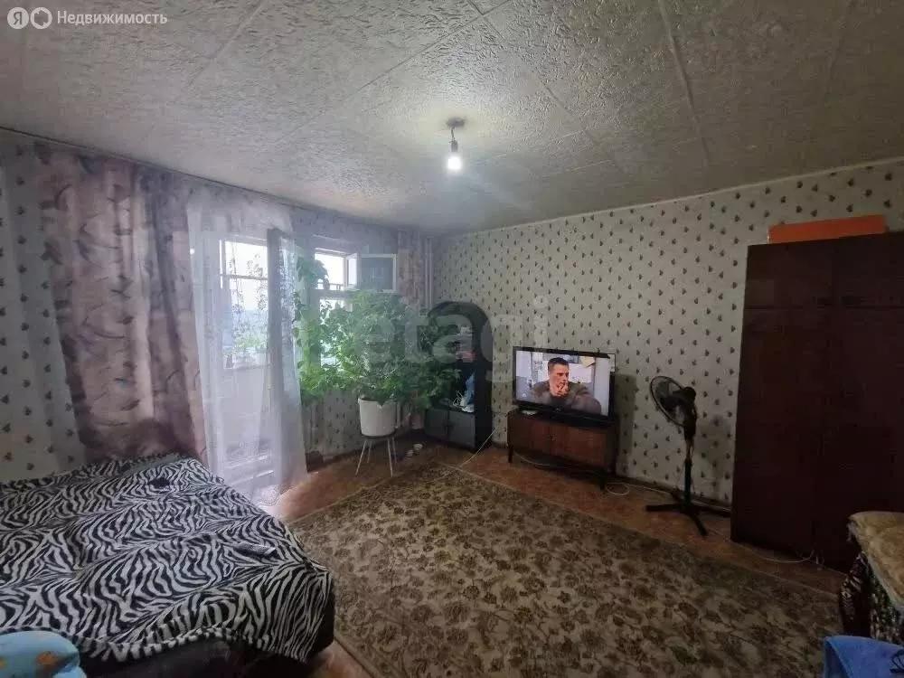 1-комнатная квартира: Миасс, улица Академика Павлова, 41 (35.3 м) - Фото 1