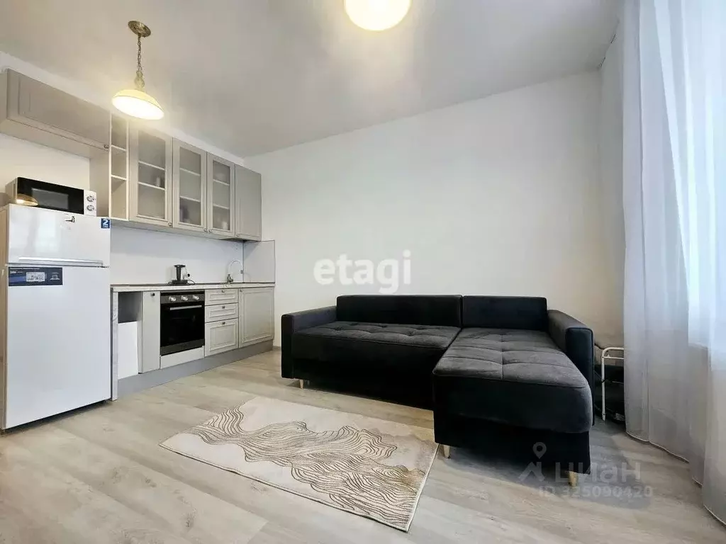 Студия Санкт-Петербург Фарфоровская ул., 7к1 (26.0 м) - Фото 2