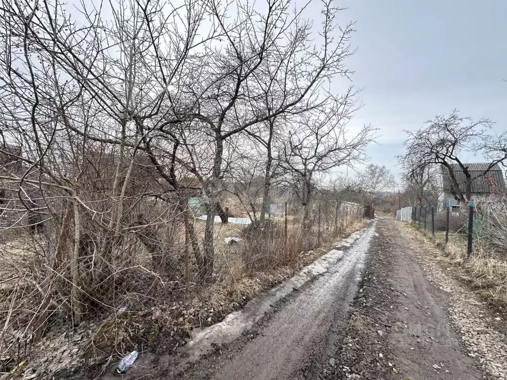 Участок в Брянская область, Брянский район, Супоневское с/пос, Рассвет ... - Фото 2