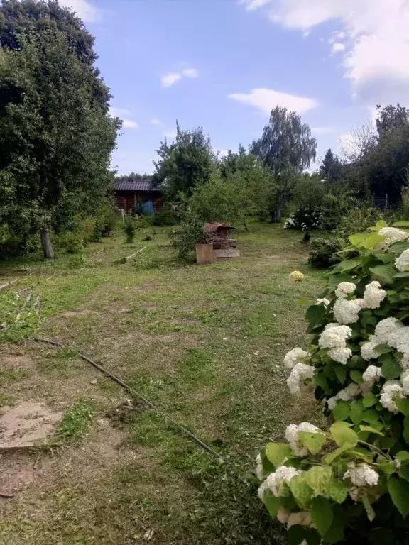 Дом в Владимирская область, Владимир д. Немцово, ул. Новая (30 м) - Фото 1