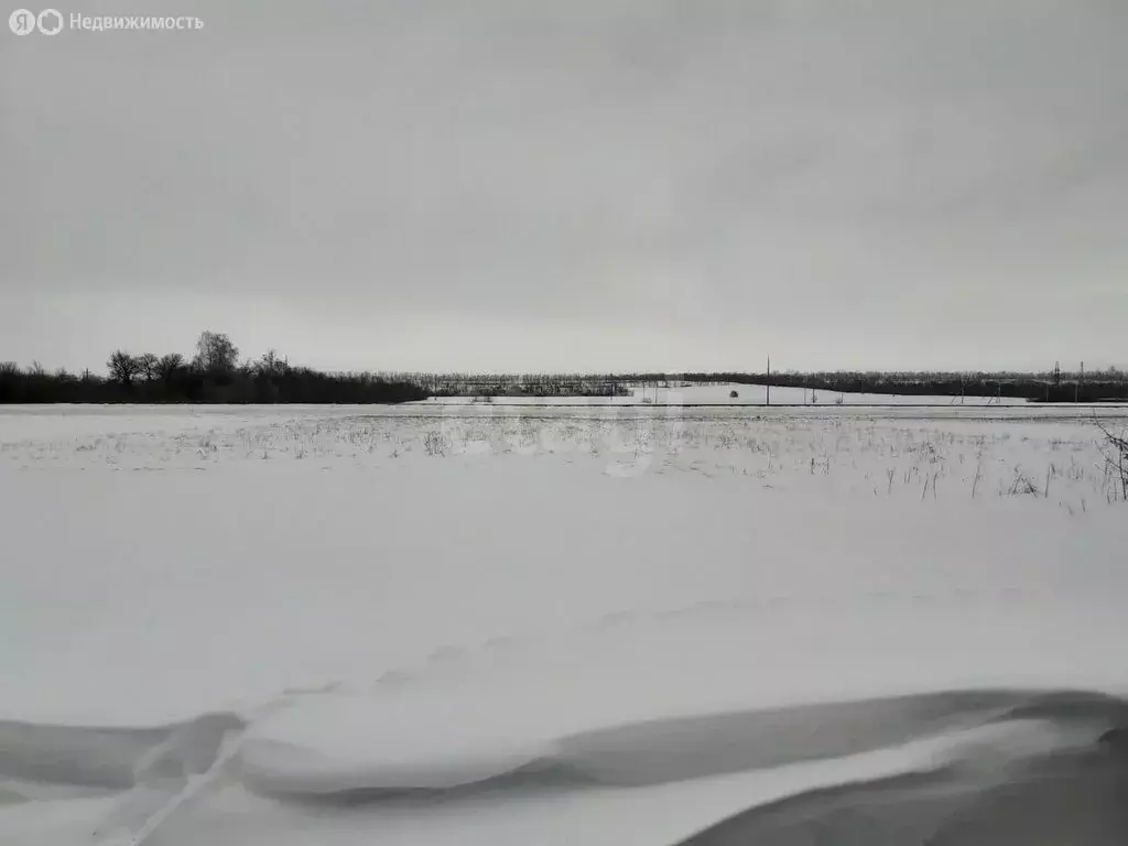 Участок в Красногвардейский район, Утянское сельское поселение, село ... - Фото 2