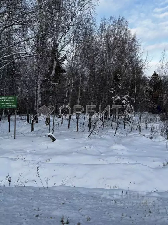 Участок в Тюменская область, Тюмень Березняковский мкр, ул. Степана ... - Фото 2