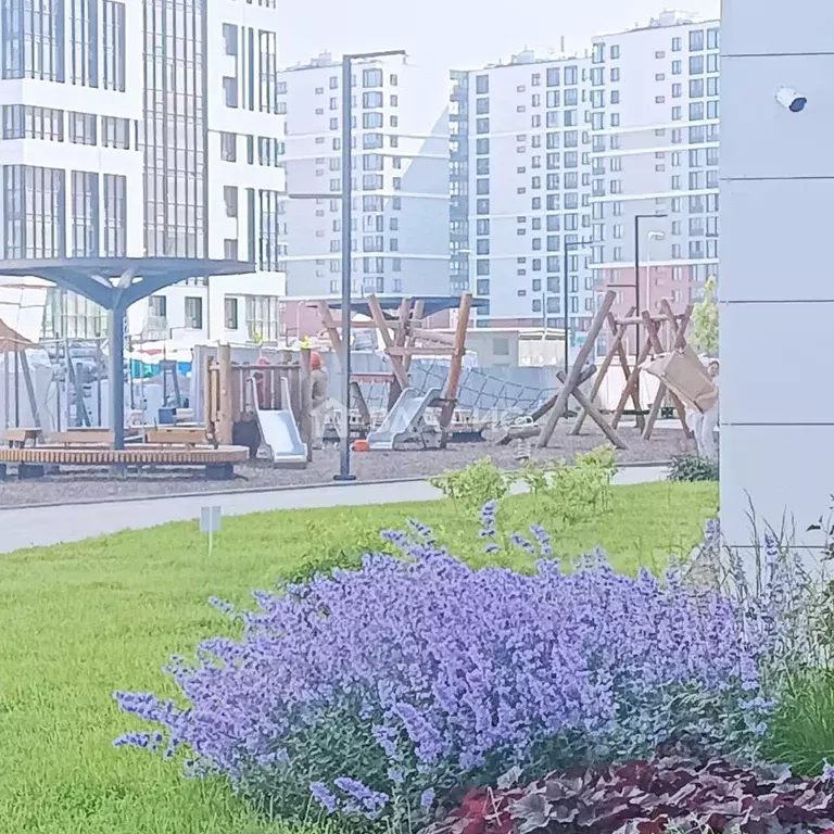 1-к кв. Санкт-Петербург ул. Чирикова, 5 (36.0 м) - Фото 1