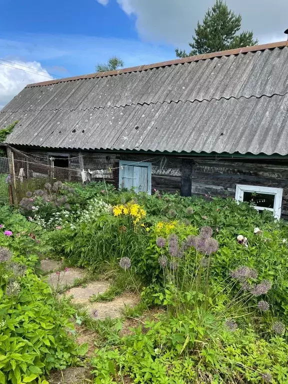 Дом в Псковская область, Великолукский район, д. Переслегино ул. ... - Фото 1