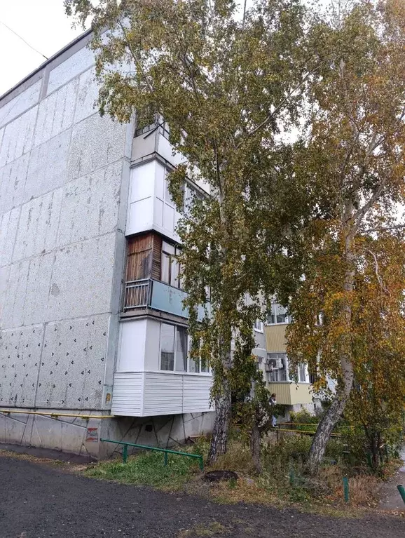 1-к кв. Омская область, Омский район, с. Лузино ул. Мира, 5 (33.7 м) - Фото 1