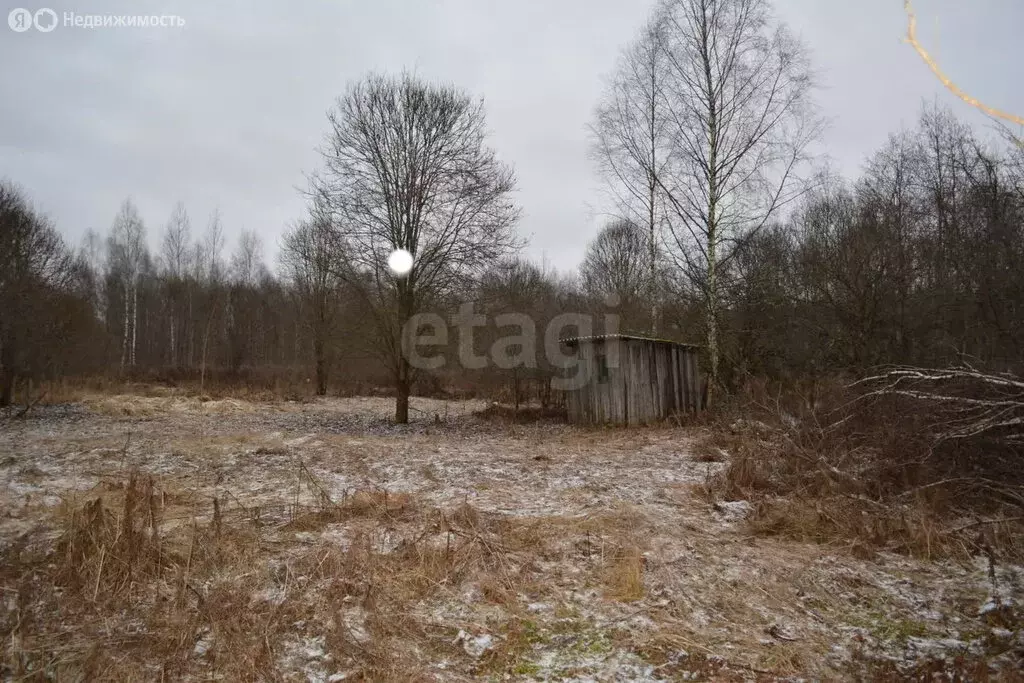 Участок в Псковская область, Порховский муниципальный округ, СНТ Медик ... - Фото 1